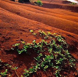 主机版《生化公司：救赎》确定2月27日发售